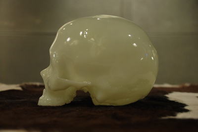 �V�F���^�[�o���N�@�I���W�i���@�g�C�@�h�N���@�q���[�}���@�~���@�摜�@��